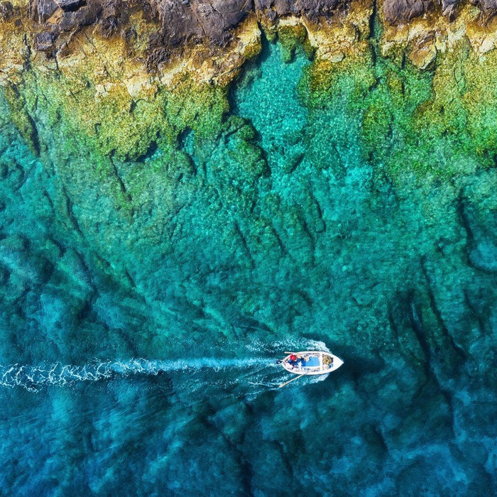 Découvrir la vie marine en mer avec un bateau semi-rigide : conseils d'observation et d'interaction responsable