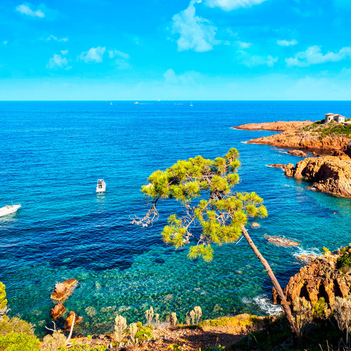 Explorer les parcs marins en France : L'aventure en bateau semi-rigide