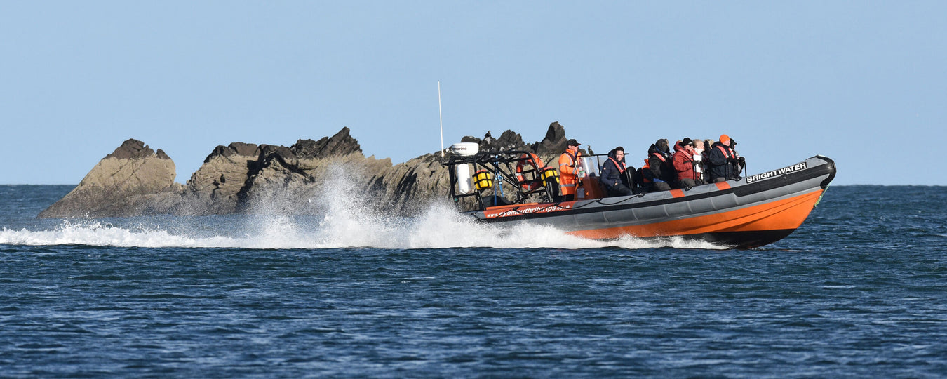 sortie en mer bateau pneumatique